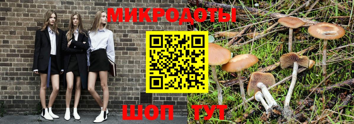 Псилоцибиновые грибы мицелий  Вход с VPN  Саров  Псилоцибиновые грибы мухоморы 